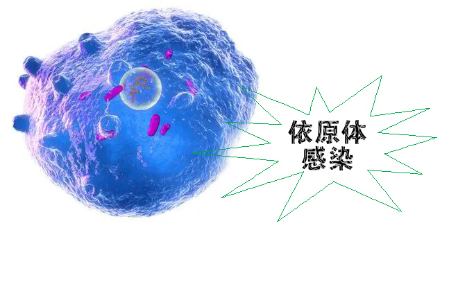 怎么不知不覺就感染了沙眼依原體呢？