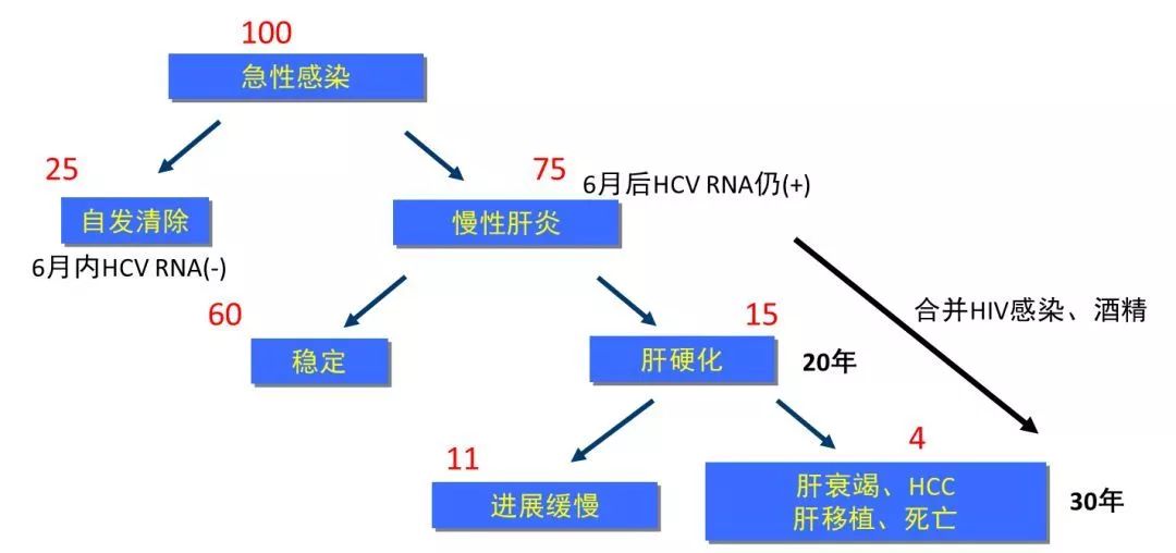 丙肝檢測(cè)的弱陽性究竟是不是感染了丙肝？